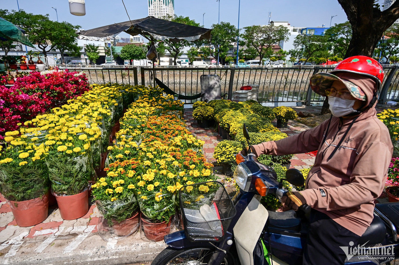 Hoa được bày bán khá đa dạng chủng loại, nhiều nhất là mai, cúc, vạn thọ, mào gà, bông trang, quất, ớt kiểng. Hoa cúc có giá khoảng 230.000 đồng/cặp, hoa mào gà 200.000 đồng/cặp... Nhiều thương lái cho biết, mức giá này ngang bằng dịp Tết năm ngoái.