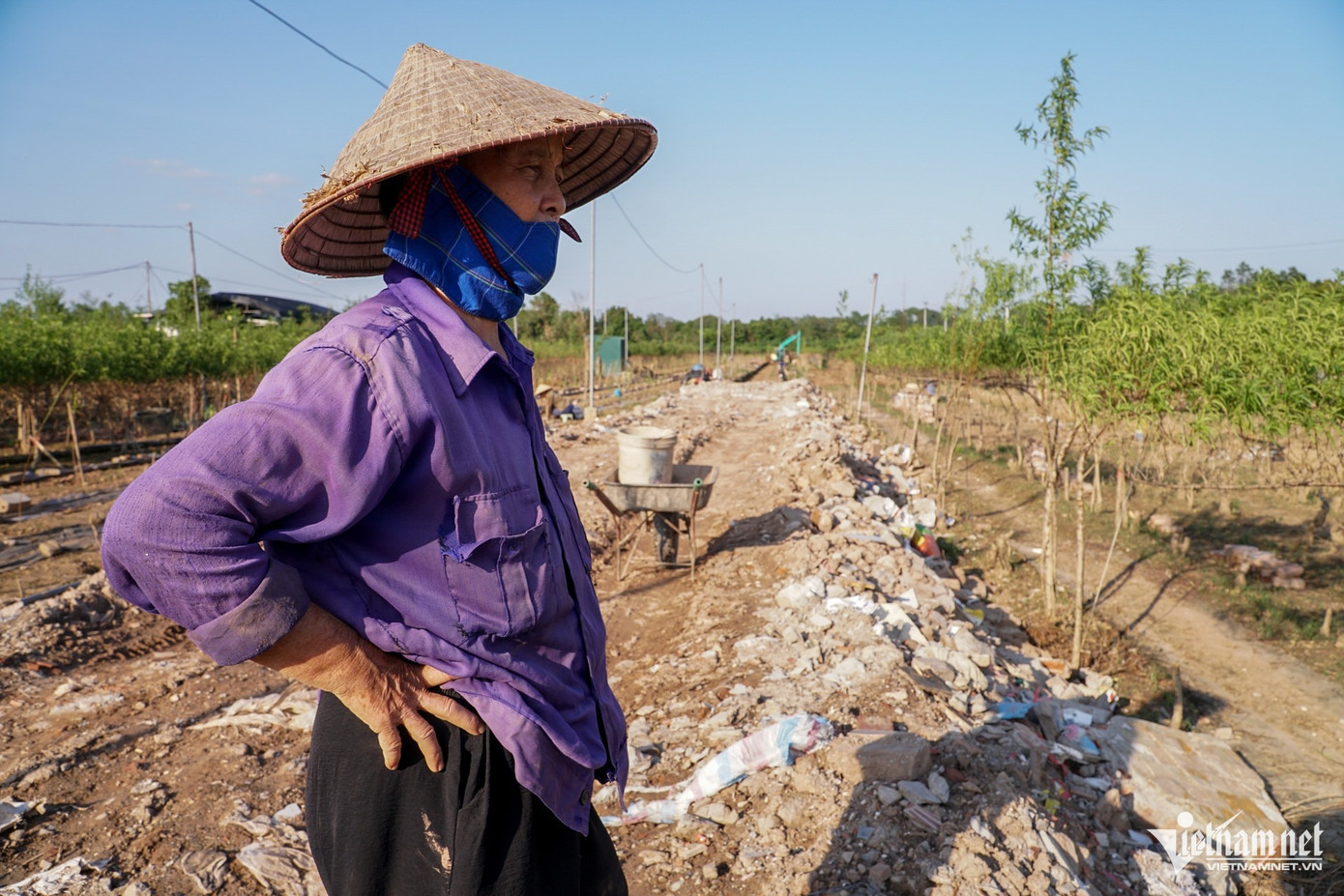 Bà Đỗ Thị Lợi (Cụm 1, phường Nhật Tân, quận Tây Hồ) đã mất gần 1.000 cây đào nhỏ. Bà Đỗ Thị Lợi (Cụm 1, phường Nhật Tân, quận Tây Hồ) đã mất gần 1.000 cây đào nhỏ.