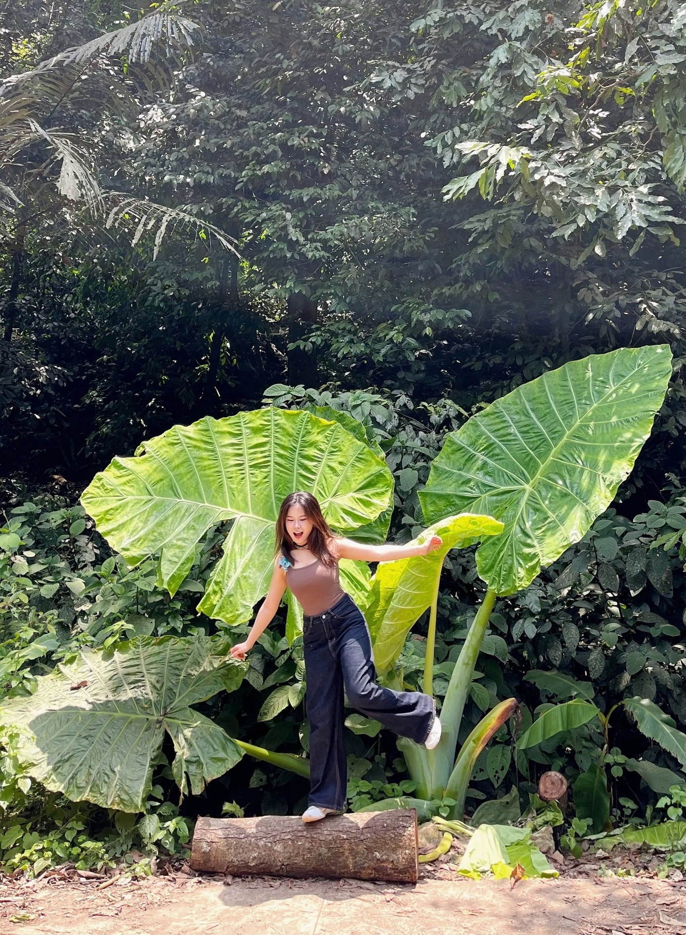 Cây ráy khổng lồ ở Cúc Phương trở thành trào lưu trên các nền tảng mạng xã hội. Từ khóa &quot;cây khổng lồ&quot;, &quot;cây ráy Cúc Phương&quot; được nhiều người trẻ tìm kiếm, đăng tải hình ảnh, clip &quot;trở về tuổi thơ&quot; giữa rừng Cúc Phương. Ảnh: @merchi_nguyen.