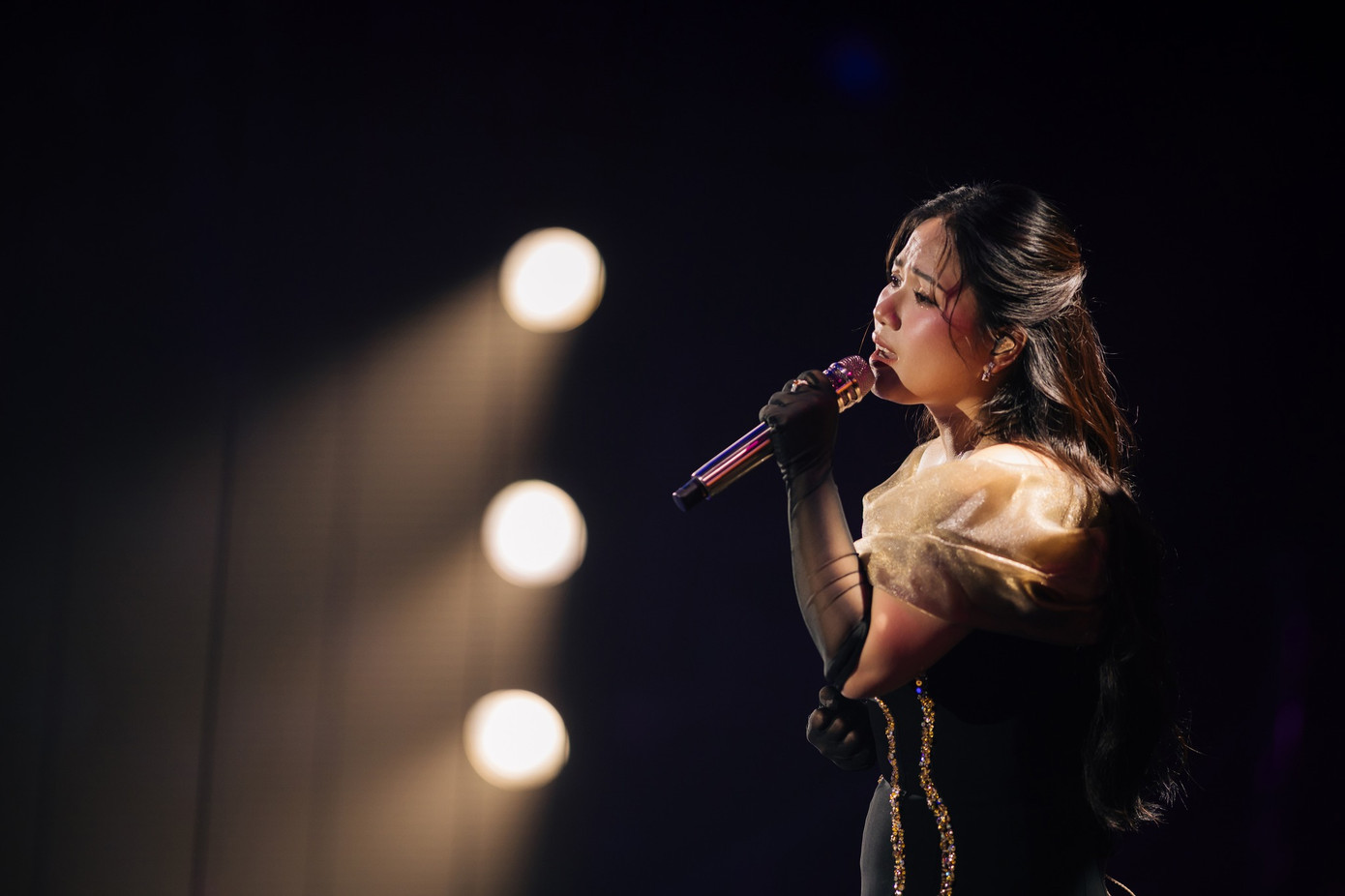 Các ca sĩ tham gia đêm nhạc của Đức Trí. Các ca sĩ tham gia đêm nhạc của Đức Trí.