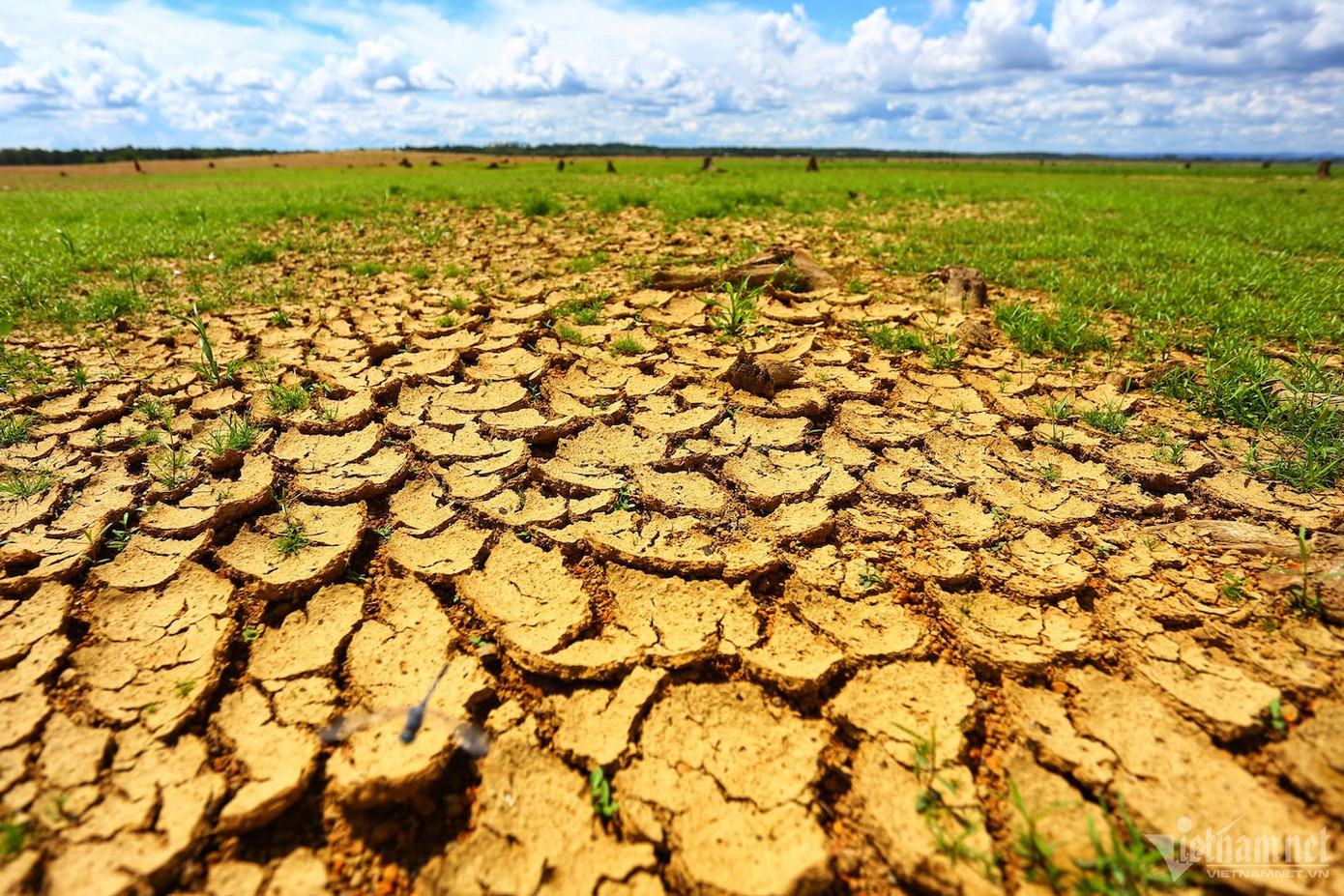 Nỗi lo đất bị sa mạc hoá. Ảnh: VNN. Nỗi lo đất bị sa mạc hoá. Ảnh: VNN.