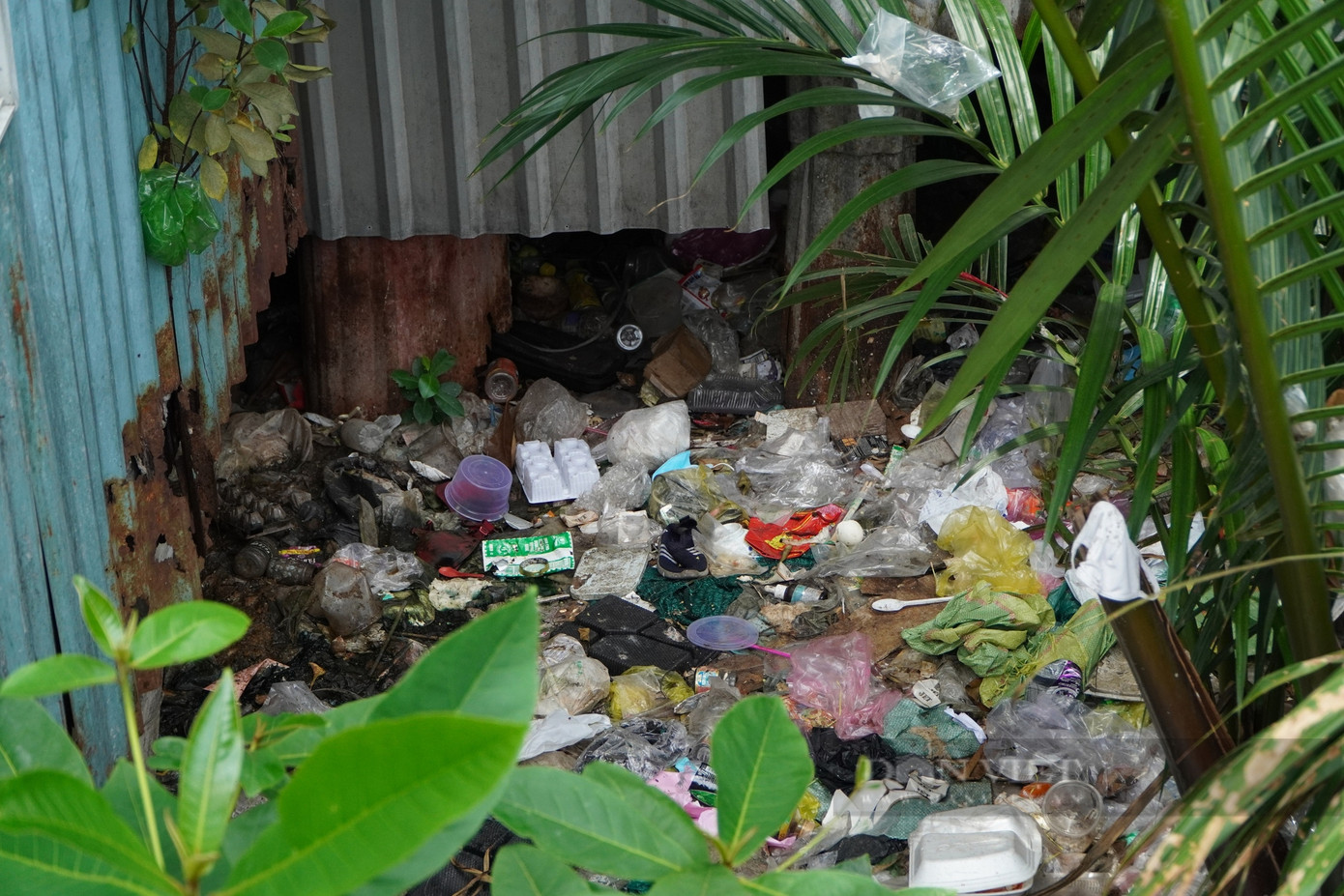 Rạch Xuyên Tâm được xem là tuyến rạch ô nhiễm nhất nội đô TPHCM. Ảnh: D.B