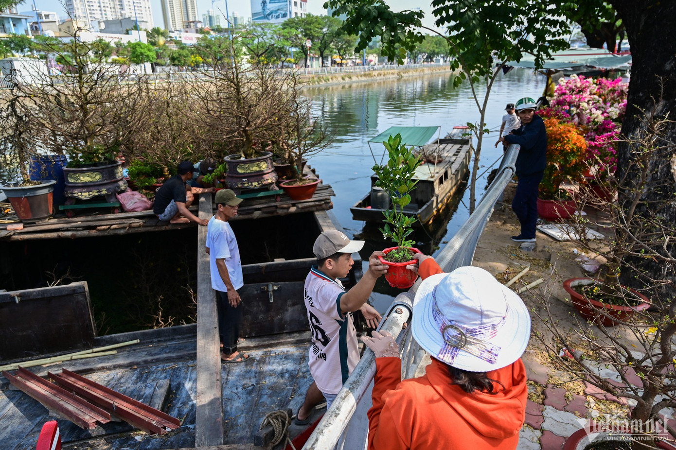 Ngay khi vừa cập bờ, các thành viên trên ghe nhanh chóng chuyển cây lên bày bán. Hàng của anh Toàn gồm ớt trái tim, cây sam hương, cây khế, cây quất mini giá từ 50.000 đồng/cây. "Chỉ cần cho ghe thuận lợi cập bến sẽ bán buôn may mắn. Năm ngoái tôi phải chở cây bán ế mang về nhưng năm nay nhận được tin Sở Du lịch TP.HCM và quận 8 sẽ mua hoa bán không hết của tiểu thương nên rất phấn khởi", anh Toàn tâm sự.