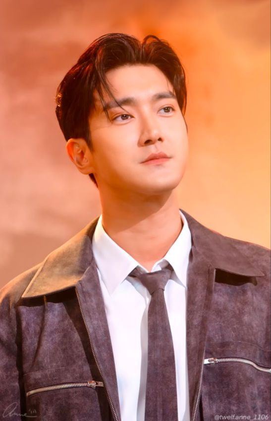Siwon có hơn 9 triệu người theo dõi trên trang cá nhân, đứng thứ 5 trong số thần tượng nam thế hệ 2 có lượng theo dõi cao nhất Kpop.