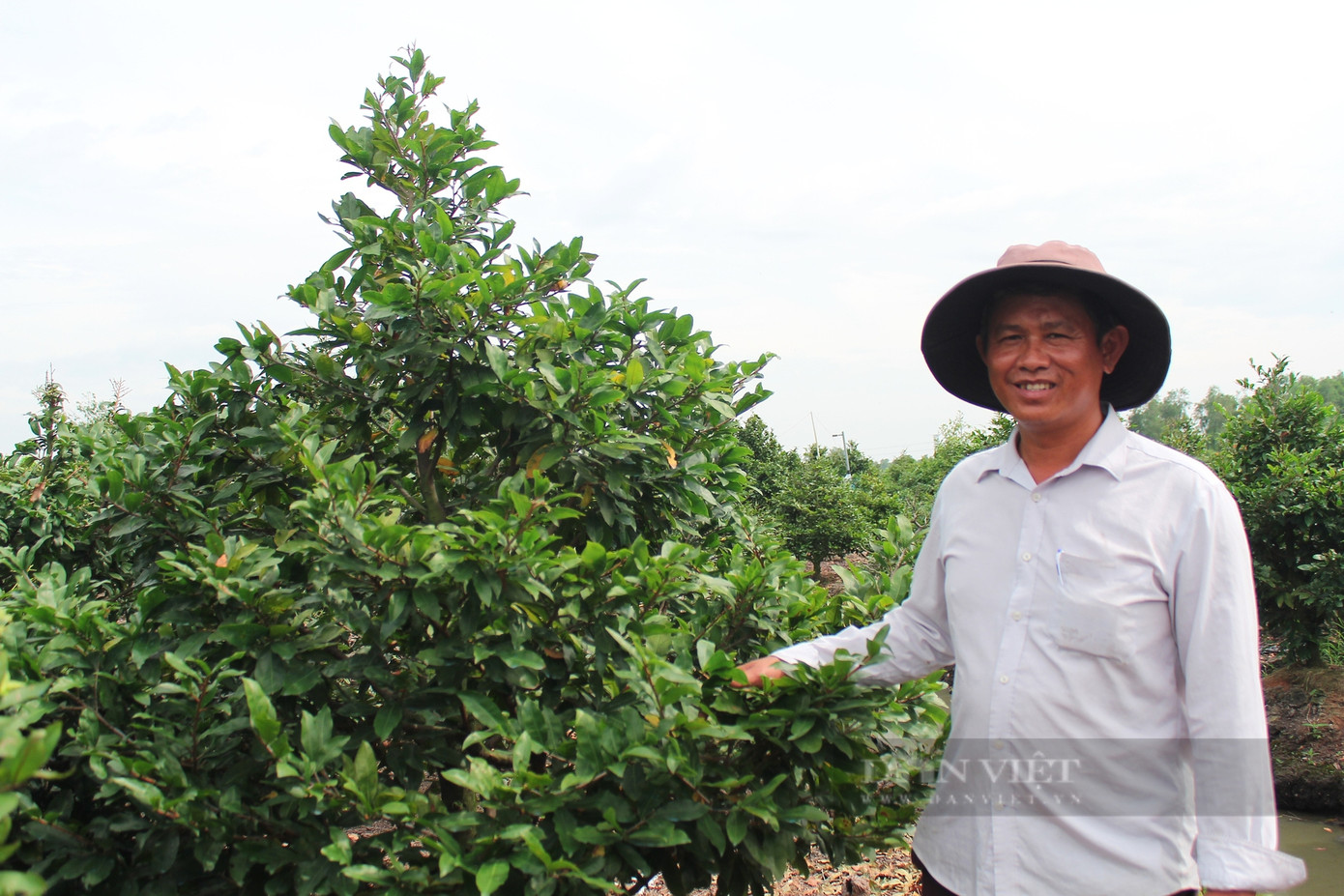 Ông Lê Hữu Thiện bên vườn mai ở làng mai vàng Bình Lợi. Ảnh: Thúy Liên