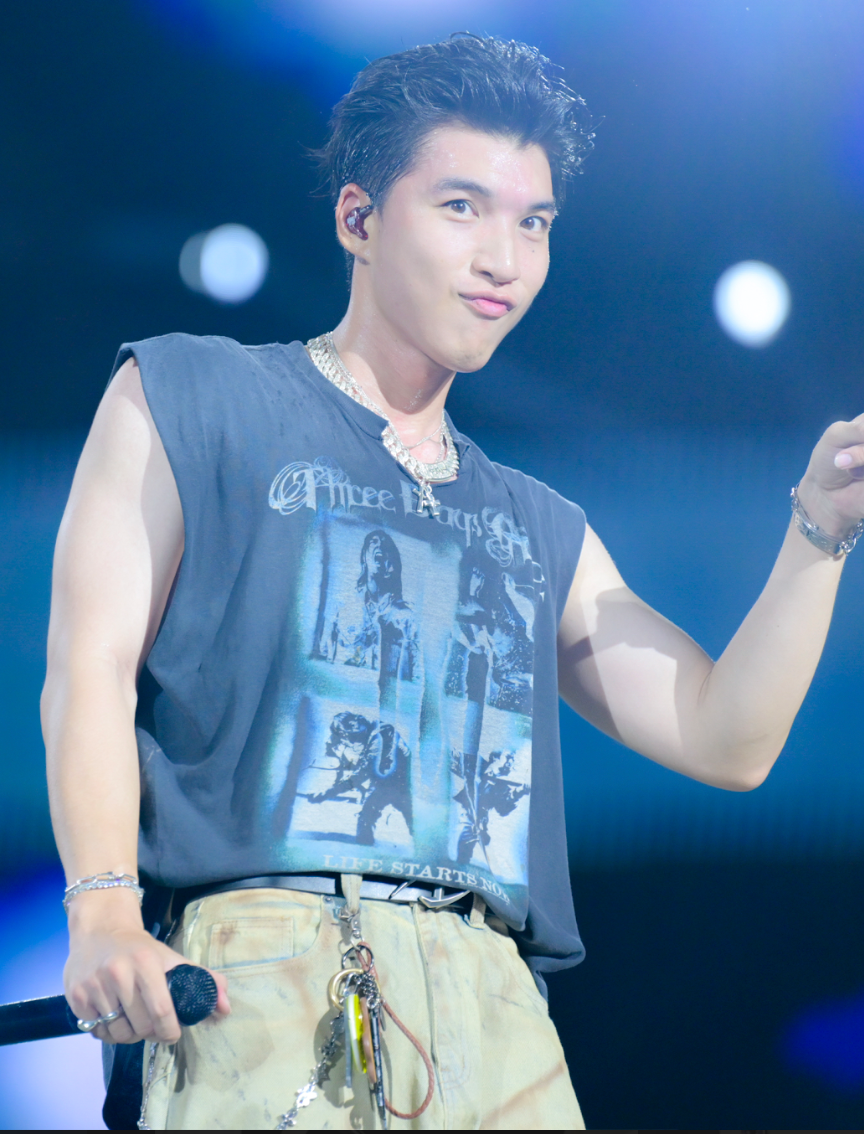 Dàn nghệ sĩ Việt tại đêm nhạc hội.