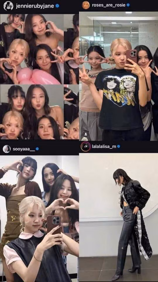 Lisa thường có bài đăng khác biệt với các thành viên BlackPink khi chia sẻ hoạt động nhóm. Cô khiến nhiều fan phật lòng vì ngó lơ dự án âm nhạc, phim ảnh của các thành viên trong khi họ vẫn công khai ủng hộ Lisa. Lisa thường có bài đăng khác biệt với các thành viên BlackPink khi chia sẻ hoạt động nhóm. Cô khiến nhiều fan phật lòng vì ngó lơ dự án âm nhạc, phim ảnh của các thành viên trong khi họ vẫn công khai ủng hộ Lisa.