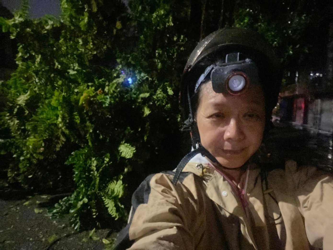 Nghệ sĩ Chiều Xuân buồn khi cây cối bị bão tàn phá tan hoang, không thể nhận ra con phố nhà mình.