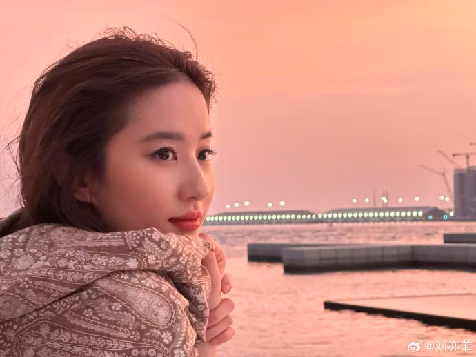 Bộ phim Mộng hoa lục (2022) đánh dấu sự trở lại của nữ diễn viên, chứng tỏ sức hút khó đánh bại của cô với mảng truyền hình. Năm 2023, Lưu Diệc Phi tiếp tục tạo dấu ấn trong phim truyền hình Đến nơi có gió. Thành công của tác phẩm thúc đẩy du lịch ở tỉnh Vân Nam, Trung Quốc. Dự kiến năm 2024, nữ diễn viên cho ra mắt bộ phim Câu chuyện hoa hồng, đóng cùng Bành Quán Anh, Hoắc Kiến Hoa, Lâm Canh Tân.