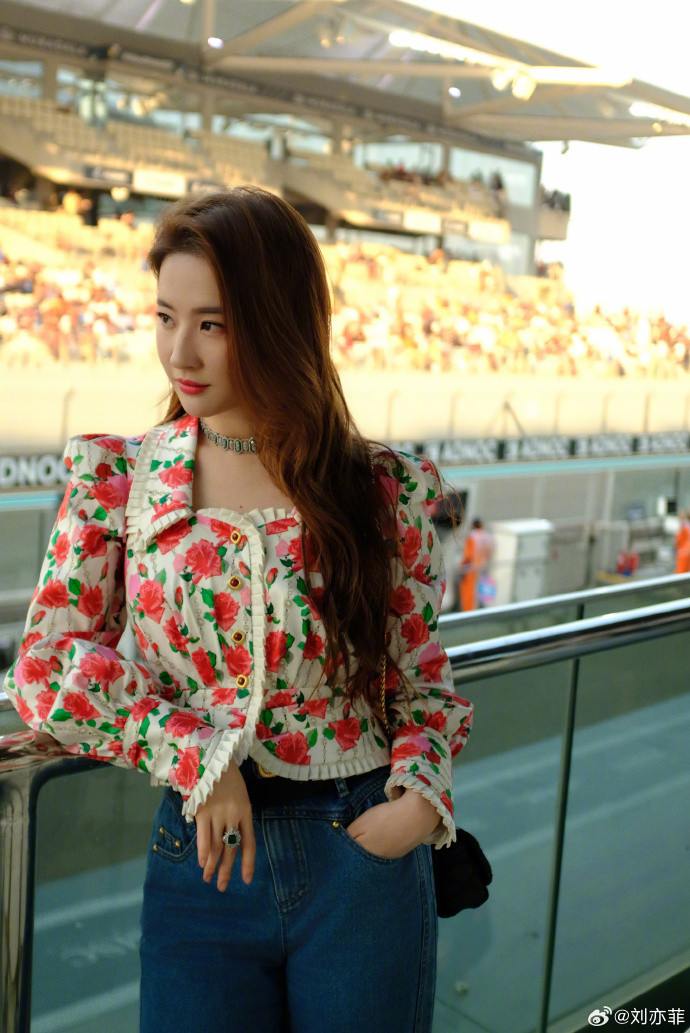 Mới đây trang Sohu đưa ra bốn cái tên được cư dân mạng bình chọn có gương mặt đẹp nhất Trung Quốc, trong đó có Lưu Diệc Phi. Ba gương mặt còn lại là Dương Dương, Địch Lệ Nhiệt Ba và Tiêu Chiến.