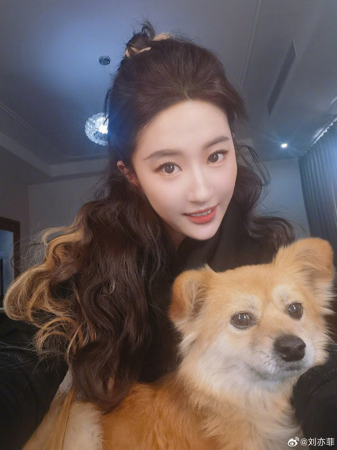 Bộ phim Mộng hoa lục (2022) đánh dấu sự trở lại của nữ diễn viên, chứng tỏ sức hút khó đánh bại của cô với mảng truyền hình. Năm 2023, Lưu Diệc Phi tiếp tục tạo dấu ấn trong phim truyền hình Đến nơi có gió. Thành công của tác phẩm thúc đẩy du lịch ở tỉnh Vân Nam, Trung Quốc. Dự kiến năm 2024, nữ diễn viên cho ra mắt bộ phim Câu chuyện hoa hồng, đóng cùng Bành Quán Anh, Hoắc Kiến Hoa, Lâm Canh Tân.