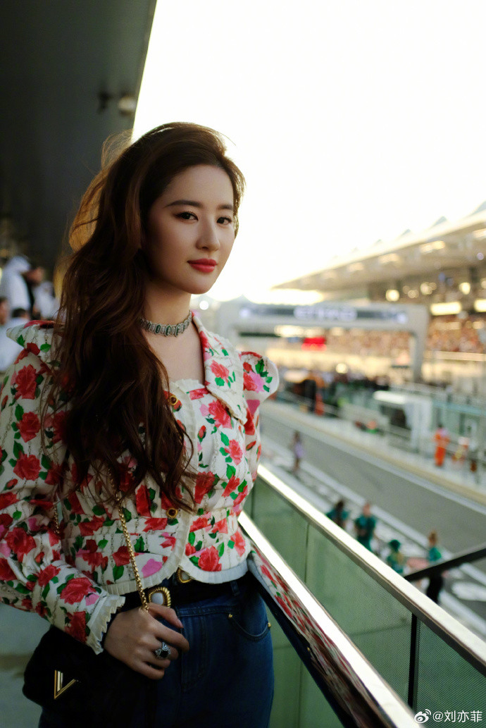 Mới đây trang Sohu đưa ra bốn cái tên được cư dân mạng bình chọn có gương mặt đẹp nhất Trung Quốc, trong đó có Lưu Diệc Phi. Ba gương mặt còn lại là Dương Dương, Địch Lệ Nhiệt Ba và Tiêu Chiến.