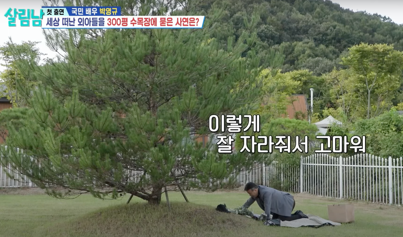 Mảnh đất Park Young Gyu dành cho con trai yên nghỉ.