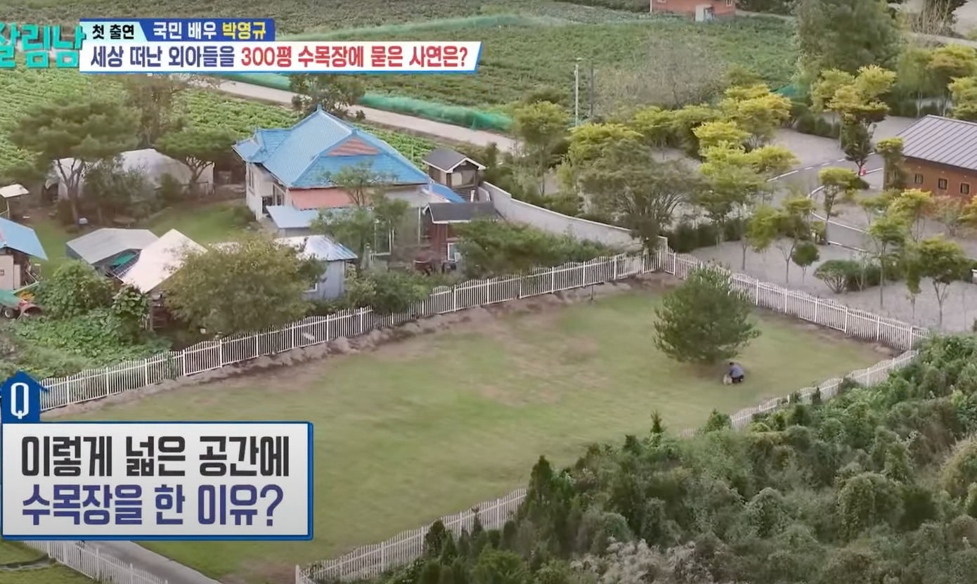 Mảnh đất Park Young Gyu dành cho con trai yên nghỉ.