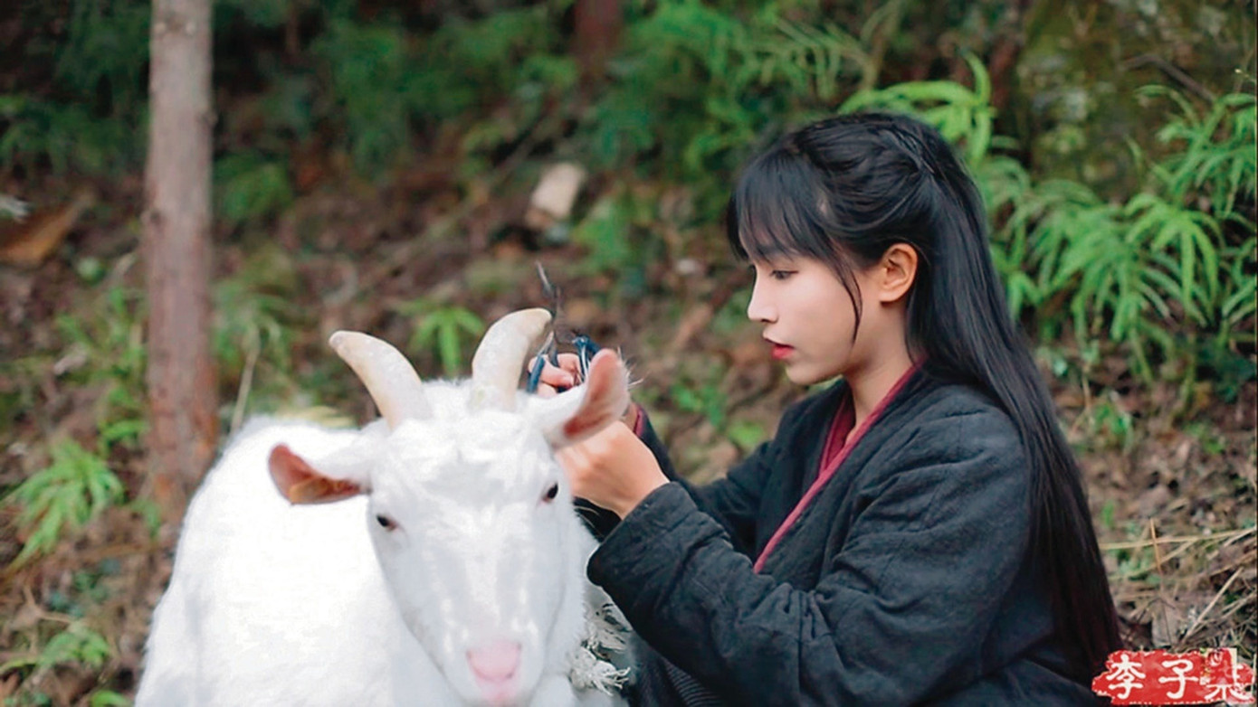 Lý Tử Thất nổi tiếng với những video nấu ăn, cuộc sống thôn quê. Lý Tử Thất nổi tiếng với những video nấu ăn, cuộc sống thôn quê.