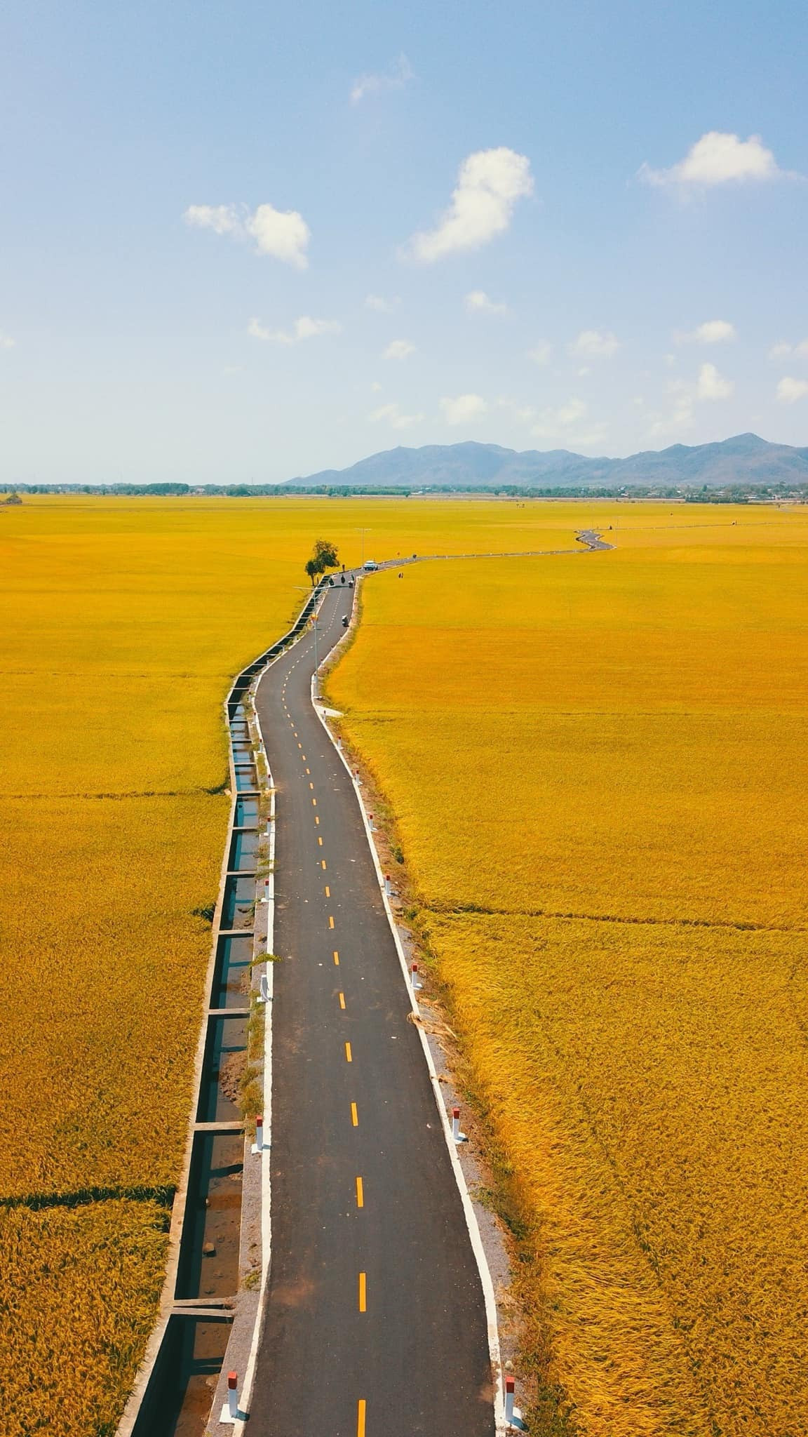 Hình ảnh do Lê Nguyên ghi lại được chia sẻ rầm rộ trên mạng xã hội. Ảnh: Lê Nguyên