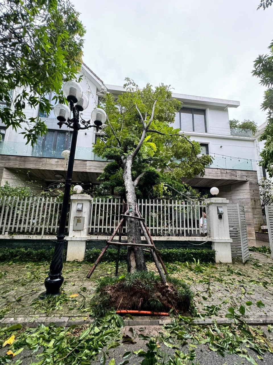 “Cả khu nhà cây cối tan hoang, cảnh tượng thật đáng sợ. Sáng nay đã khắc phục được một phần”. Giọng ca Tự tâm nói đây là cơn bão lịch sử với sức gió khủng khiếp nhất từ trước giờ tại Hà Nội.