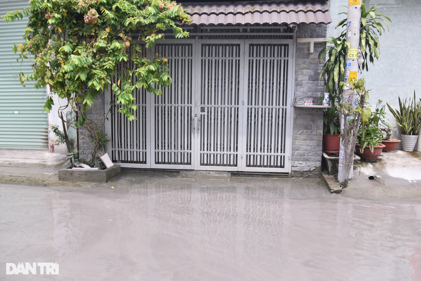 Bên cạnh hàng quán phải đóng cửa vì vắng khách, một số hộ dân sinh sống tại đây đã chuyển đi nơi khác để tránh ngập. ''Người dân chán nản cái cảnh này lắm rồi, ngập kéo dài một tháng còn đỡ chứ đây ngập hơn nửa năm, có ai chịu nổi không?'', chị Ngọc Tú (34 tuổi) nói.