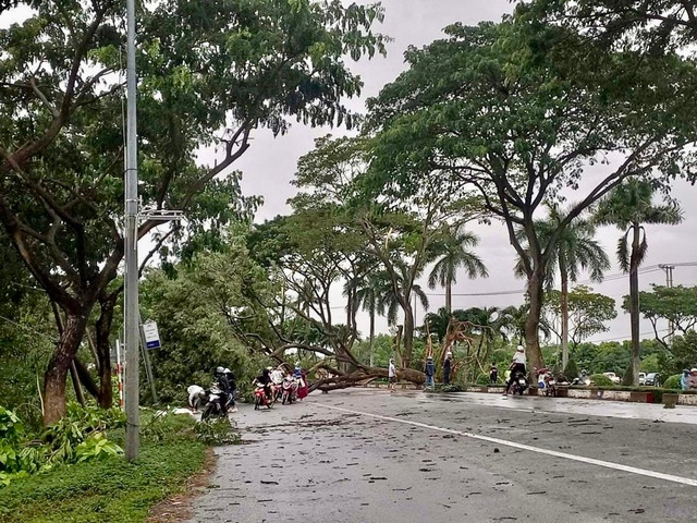 Nhiều người cho biết thời điểm này mưa lớn kèm gió Nhiều người cho biết thời điểm này mưa lớn kèm gió