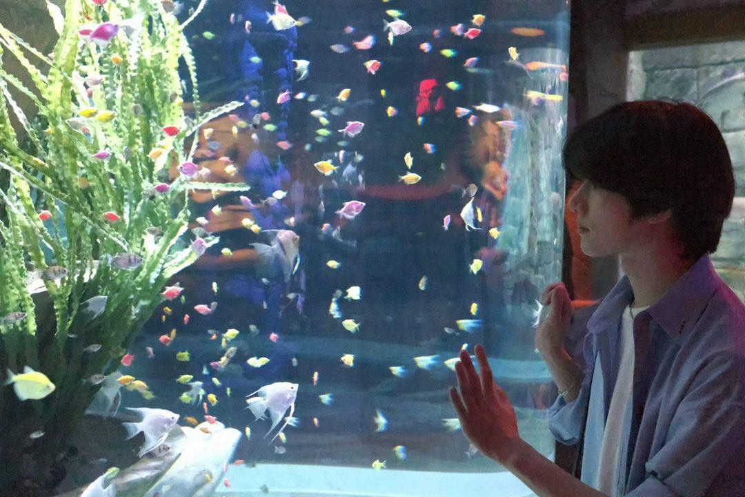 Một người hâm mộ bắt gặp và xin chữ ký của Soobin và Beomgyu ở Phú Quốc chia sẻ trên Twitter rằng gia đình thấy cả hai tại thủy cung ngày 9/2 và khen ngoại hình hai nam thần tượng cao ráo, đẹp trai hơn trên màn ảnh.