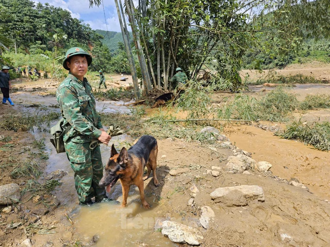Thủ tướng Phạm Minh Chính bật khóc khi thấy tang thương Làng Nủ ảnh 20 Thủ tướng Phạm Minh Chính bật khóc khi thấy tang thương Làng Nủ ảnh 20