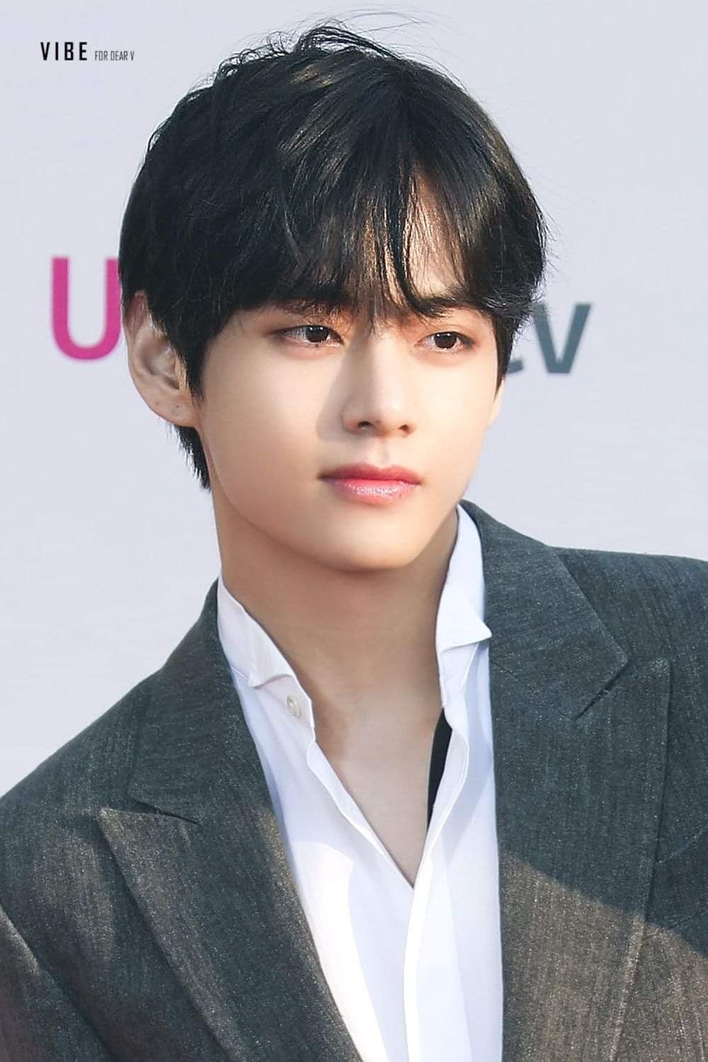 Ngôi sao sinh năm 1995 tên thật là Kim Tae Hyung, sinh tại Daegu, Hàn Quốc. Trước thời điểm ra mắt, anh cân nhắc nhiều nghệ danh như Lex và Six. Tuy nhiên, cuối cùng nam ca sĩ đã chọn V, mang ý nghĩa chiến thắng.