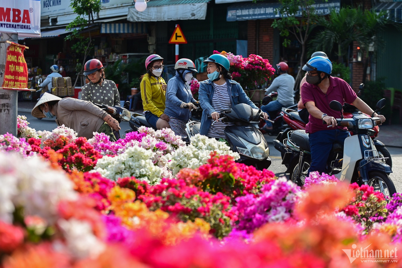 Những chậu hoa giấy đủ màu sắc của chị Lan vùa được mang lên đã có nhiều người ghé mua tấp nập. Bông giấy nở to, đẹp, nhiều màu nhưng chỉ có giá từ 130.000 đồng/chậu. Các chậu lớn hơn, ghép cành tỉ mỉ hơn có giá 3 - 5 triệu đồng/chậu.