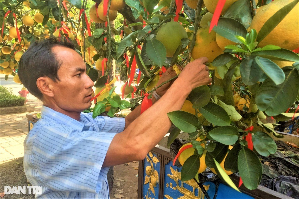 Anh Ngọc nâng niu, dùng bao bọc từng trái bưởi Diễn để giao cho khách hàng (Ảnh: Nguyễn Vy).