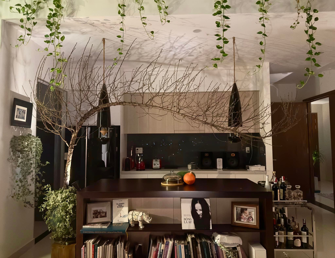 Diva Hồng Nhung mang cành đào dáng huyền từ Hà Nội vào TPHCM, đặt giữa khoảng tiếp nối không gian bếp và phòng khách. Cơ ngơi của diva nhận nhiều lời khen của khán giả, đây là căn penthouse của “cô Bống” nằm trên tầng cao nhất của căn chung cư cao cấp ở TP.HCM.