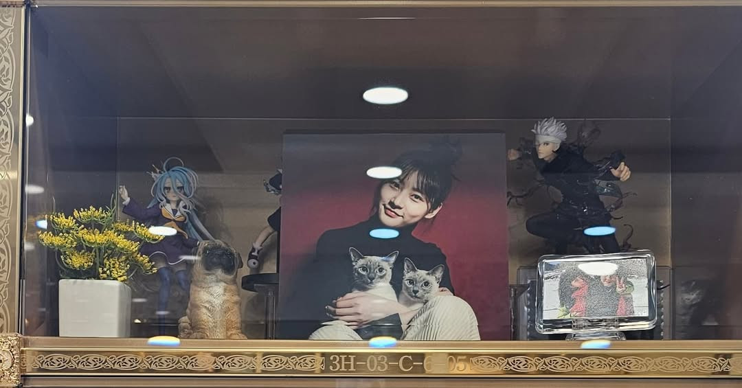 Nơi Kim Sae Ron an nghỉ. Nơi Kim Sae Ron an nghỉ.