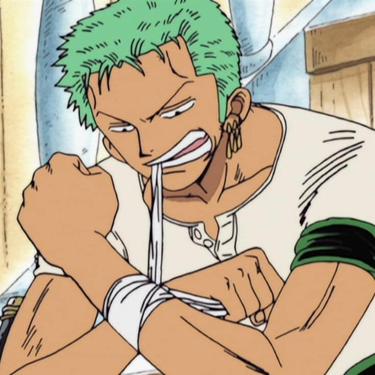 Là thành viên đầu tiên được chiêu mộ vào băng hải tặc Mũ Rơm, theo nguyên tác Roronoa Zoro trở thành cánh tay phải đắc lực và đồng đội đáng tin cậy của thuyền trưởng Luffy. Zoro là thành viên duy nhất trong băng sử dụng kiếm chiến đấu, có ước mơ trở thành kiếm sĩ số 1 thế giới. Sau này, Zoro bộc lộ sức mạnh khủng khiếp, nằm trong số 12 Siêu Tân Tinh thuộc Thế hệ Tồi tệ nhất, cùng với Luffy.