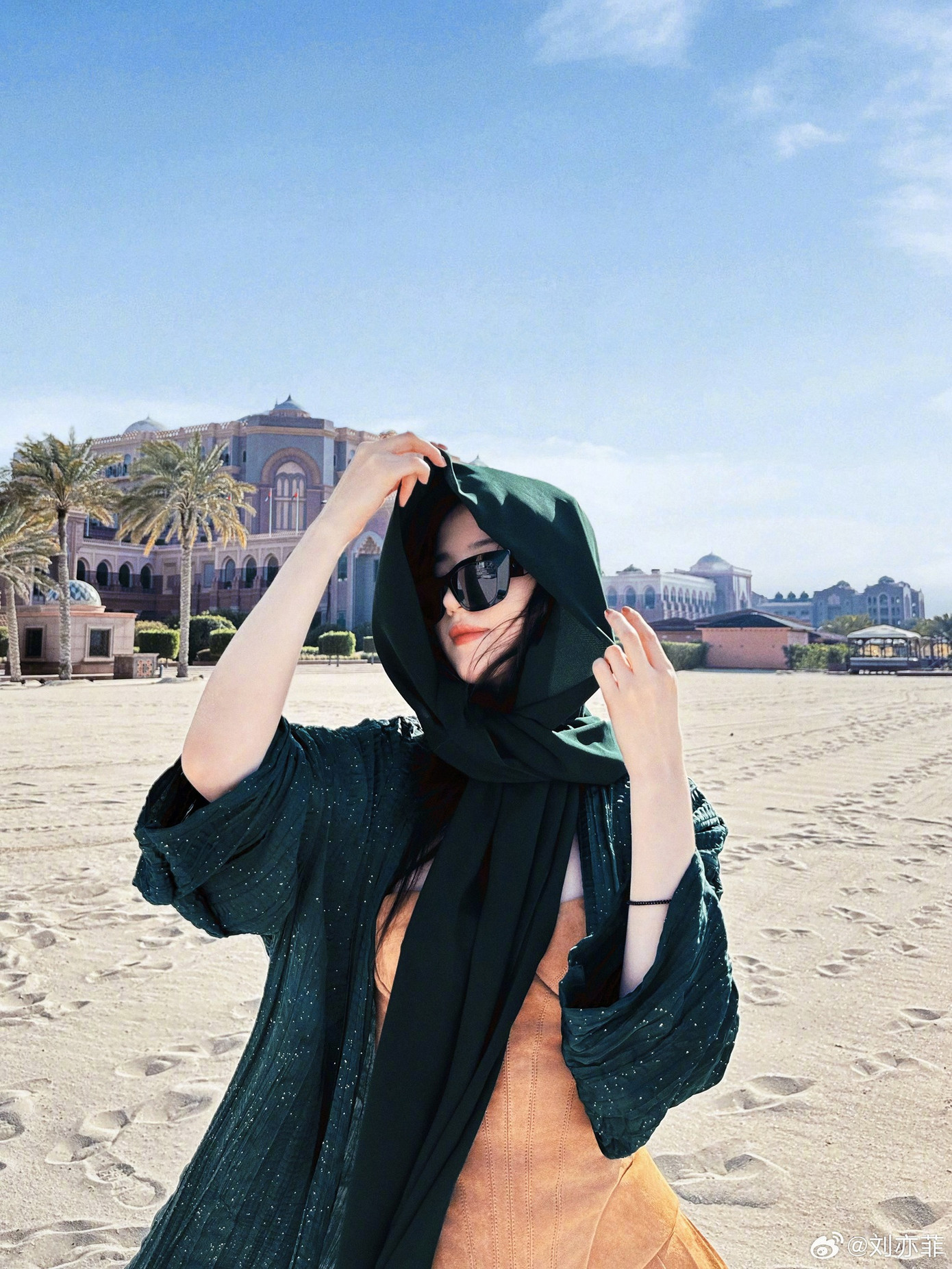 Trang web chính thức của Daily Commercials đăng tải bài báo đưa tin Lưu Diệc Phi đã trở thành người phát ngôn trải nghiệm của Abu Dhabi và mô tả cô là "Viên ngọc đa diện người Mỹ gốc Hoa".