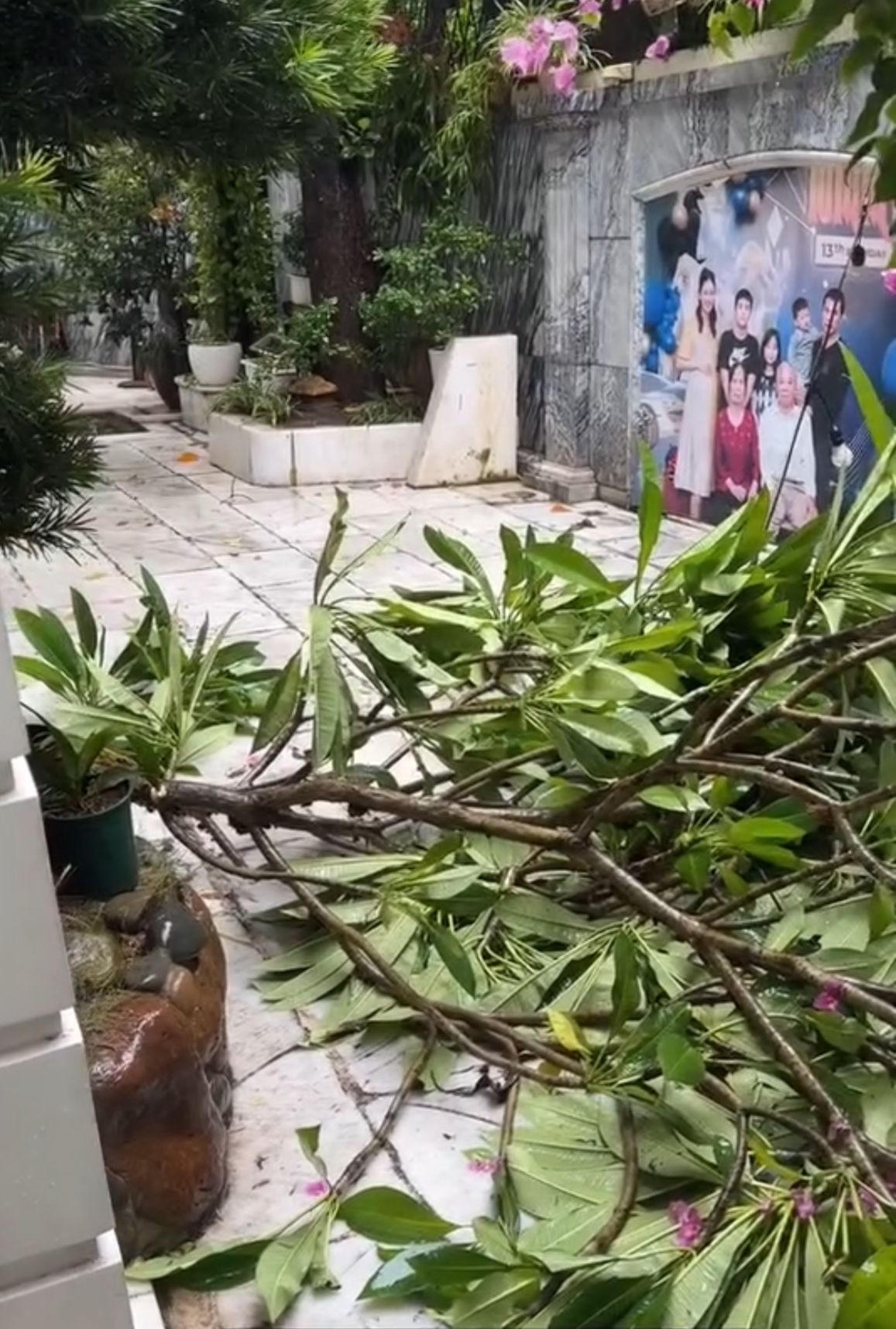 Căn biệt thự khang trang của Á hậu Ngô Thanh Thanh Tú cũng bị thiệt hại. Người đẹp tiếc nuối khi dãy bằng lăng chồng từng làm thơ tặng cô được trồng trước nhà bị mưa gió thổi bật gốc. Thời điểm mưa lớn, cô phải dùng băng dính cố định khe hở, tránh nước tràn vào nhà.