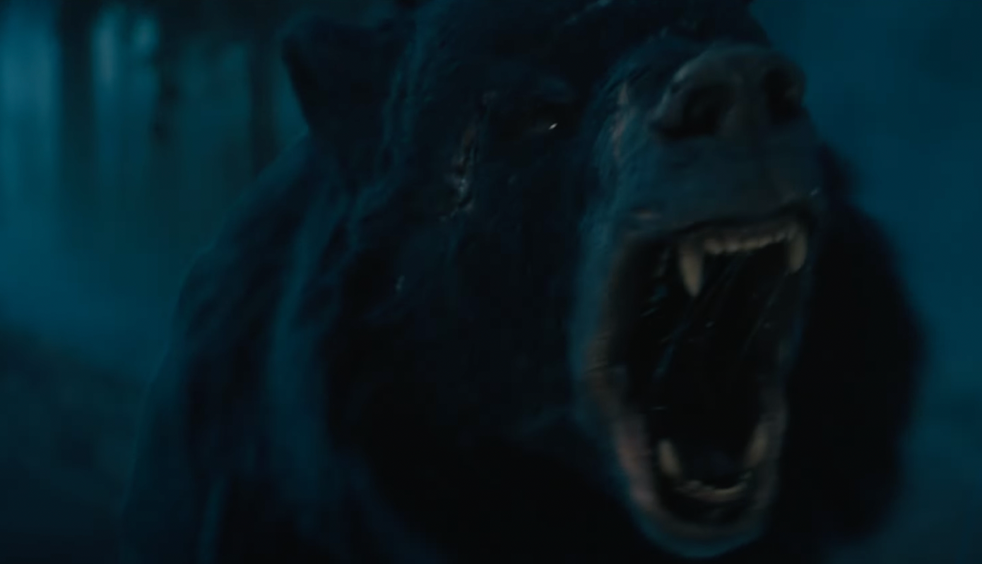 Bối cảnh trong Móng vuốt. Bối cảnh trong Móng vuốt.