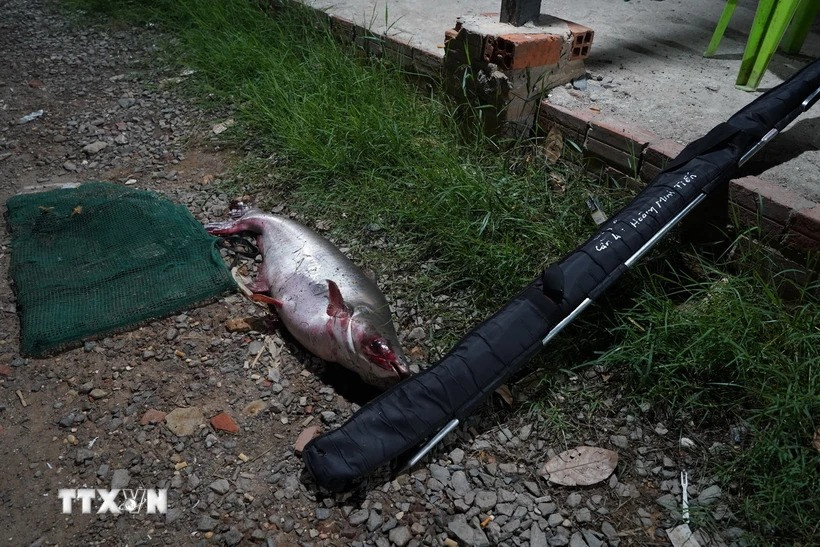 Cần câu tham gia cá cược bị thu giữ tại hiện trường. (Ảnh: TTXVN)