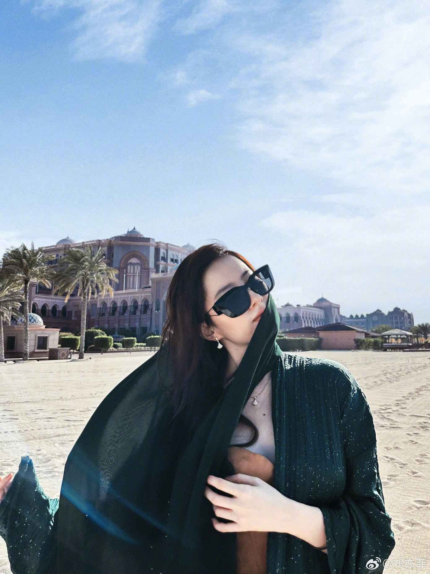 Trang web chính thức của Daily Commercials đăng tải bài báo đưa tin Lưu Diệc Phi đã trở thành người phát ngôn trải nghiệm của Abu Dhabi và mô tả cô là "Viên ngọc đa diện người Mỹ gốc Hoa".