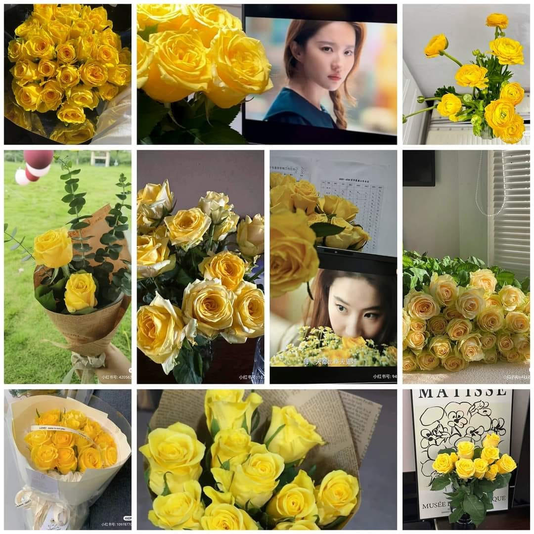 Lưu Diệc Phi khiến hoa hồng vàng đắt hàng.