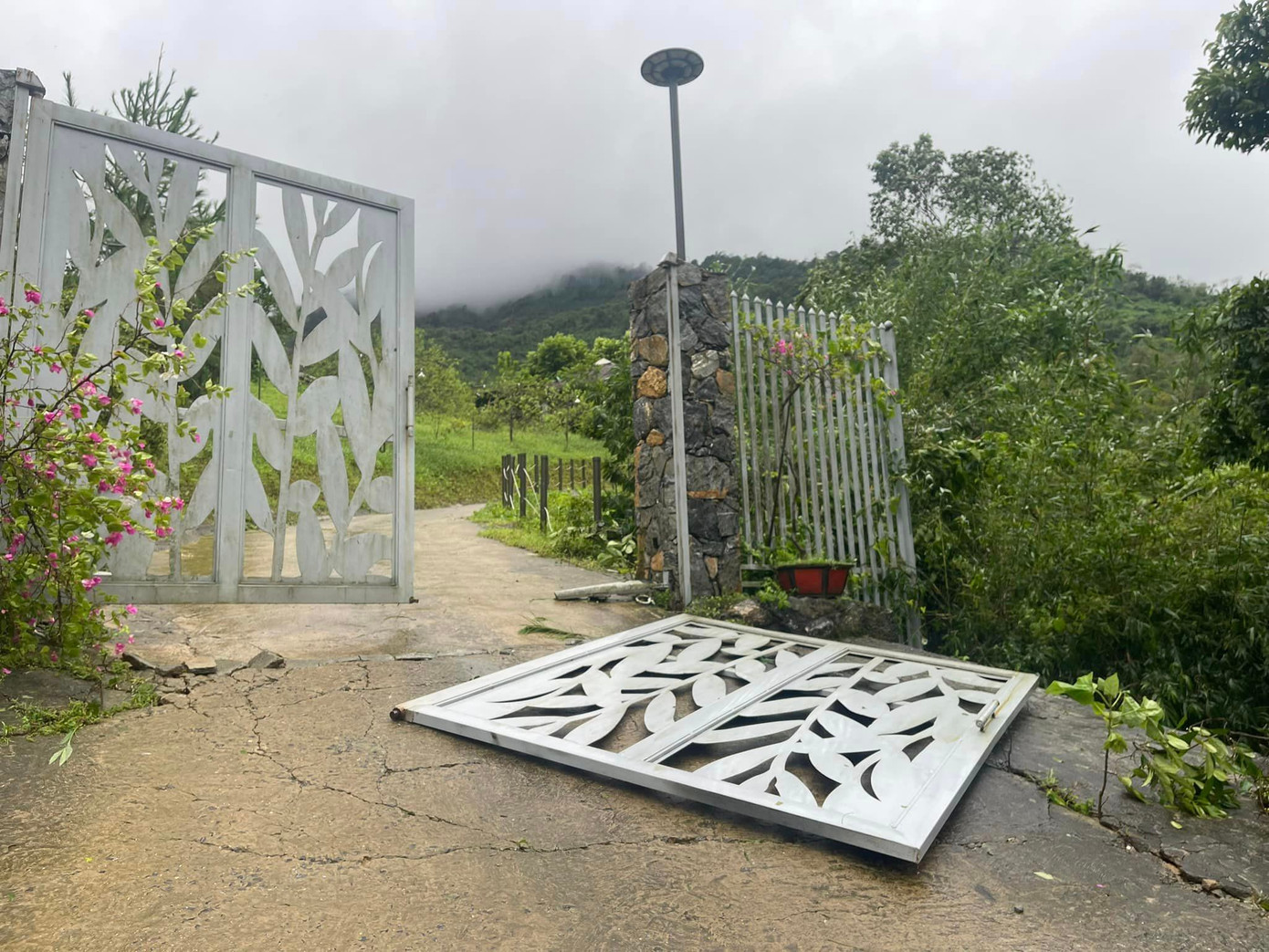 Ca sĩ Việt Hoàn nói anh chưa từng thấy cơn bão nào lớn như vậy đổ bộ vào Hà Nội. Vườn nhà của anh ở ngoại thành Hà Nội chịu ảnh hưởng nặng, người và nhà yên ổn nhưng cây cối “tan nát”. Cây mít trĩu quả nhà nam ca sĩ đổ rạp, mái tôn đổ sập, một bên cửa sắt bị gió thổi tung… Sau trận bão, vườn nhà Việt Hoàn chỉ còn cảnh tượng hoang tàn.