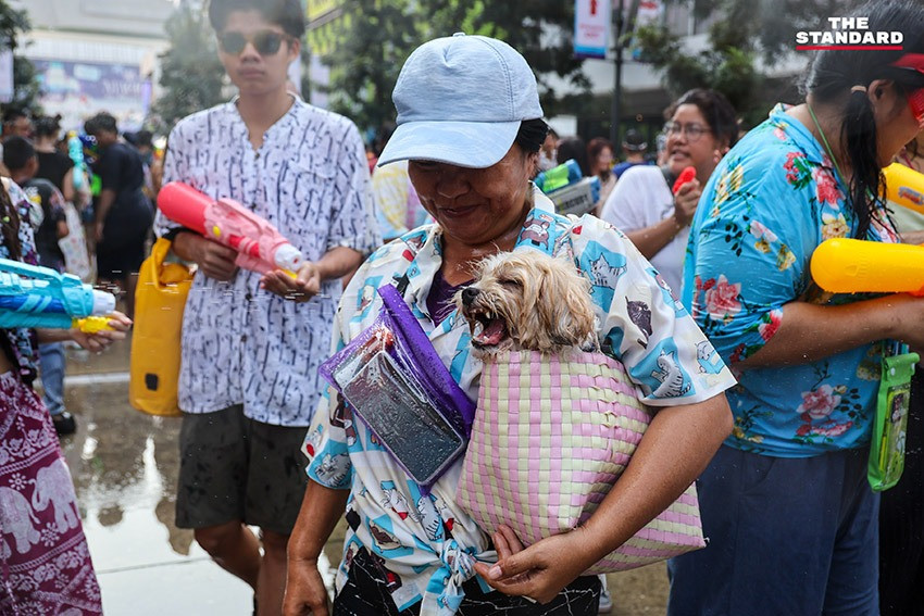 Vì sự an toàn người dân và du khách trong mùa lễ hội, chính phủ Thái Lan đã phát động những hoạt động lành mạnh, đặc biệt yêu cầu không uống rượu, không sử dụng vòi rồng áp suất cao, không quấy rối, không dùng bột và tiết kiệm nước.