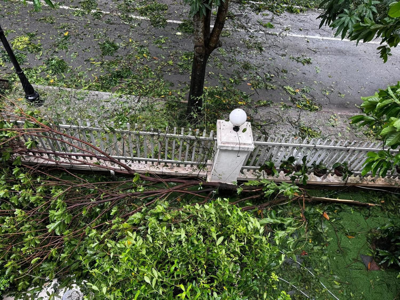 Bão qua, ca sĩ Nguyễn Trần Trung Quân chia sẻ quang cảnh nhà ở Hà Nội.