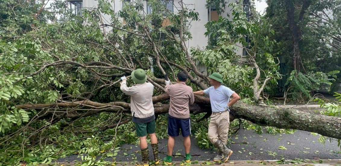 NSND Xuân Bắc cùng các con hỗ trợ dọn dẹp đường phố sau cơn bão Yagi: “Bão tàn phá ghê gớm quá. Cây đổ khắp nơi. Lực lượng hỗ trợ và công ty cây xanh, giao thông công chính quá tải. Bố con tôi xin góp một phần công sức nhỏ để khắc phục sau bão với khu phố”.