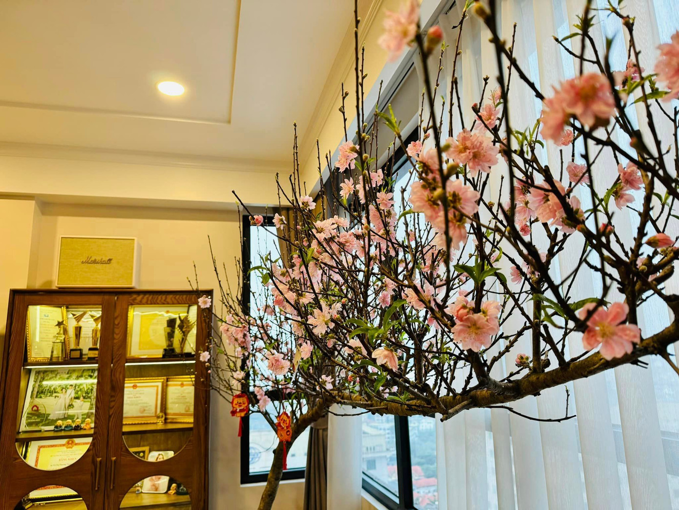 Cành đào dáng huyền nhà diễn viên Bảo Thanh bung nở. Cô chia sẻ phút bình yên những ngày cuối năm bên gia đình.