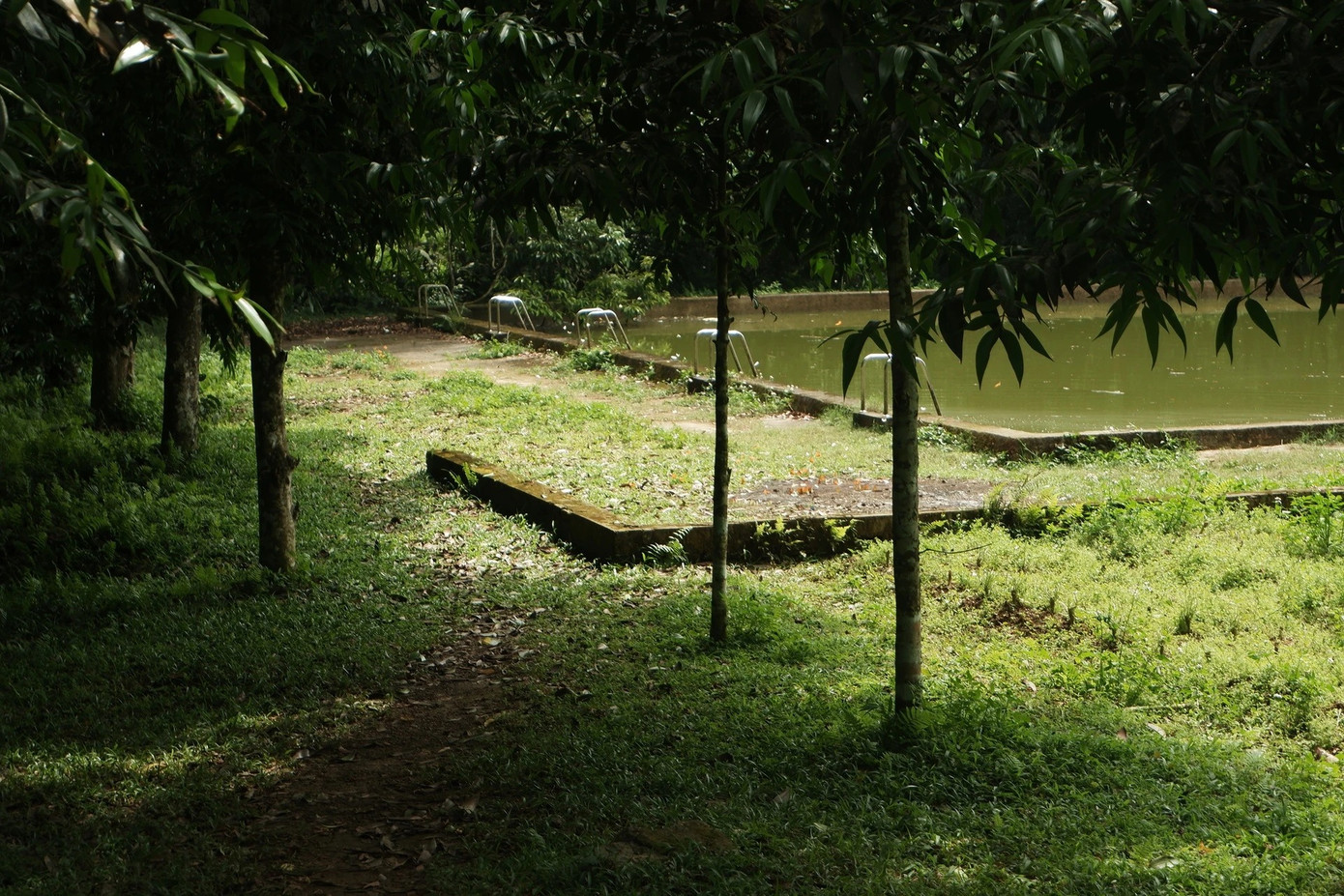 Bộ ảnh Ngọc đăng lên tải lên mạng xã hội nhanh chóng &quot;viral&quot;, nhận nhiều lời khen từ cộng đồng mạng. Nhiều người bình luận hỏi đường đi, cách &quot;săn&quot; bướm và cây khổng lồ... khiến cô cảm thấy hạnh phúc vì có thể lan tỏa vẻ đẹp thiên nhiên Việt Nam. Dù chưa kịp ở lại ngắm đom đóm về đêm, Ngọc tin rằng đó là lý do để cô quay lại VQG Cúc Phương lần nữa. Ảnh: Hồng Ngọc.