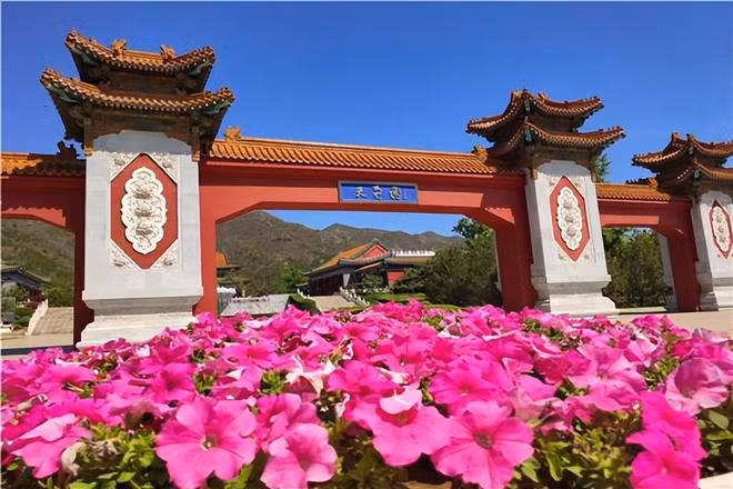 Nơi yên nghỉ của Châu Hải My tại nghĩa trang ở Bắc Kinh (Trung Quốc). Ảnh: Sohu. Nơi yên nghỉ của Châu Hải My tại nghĩa trang ở Bắc Kinh (Trung Quốc). Ảnh: Sohu.