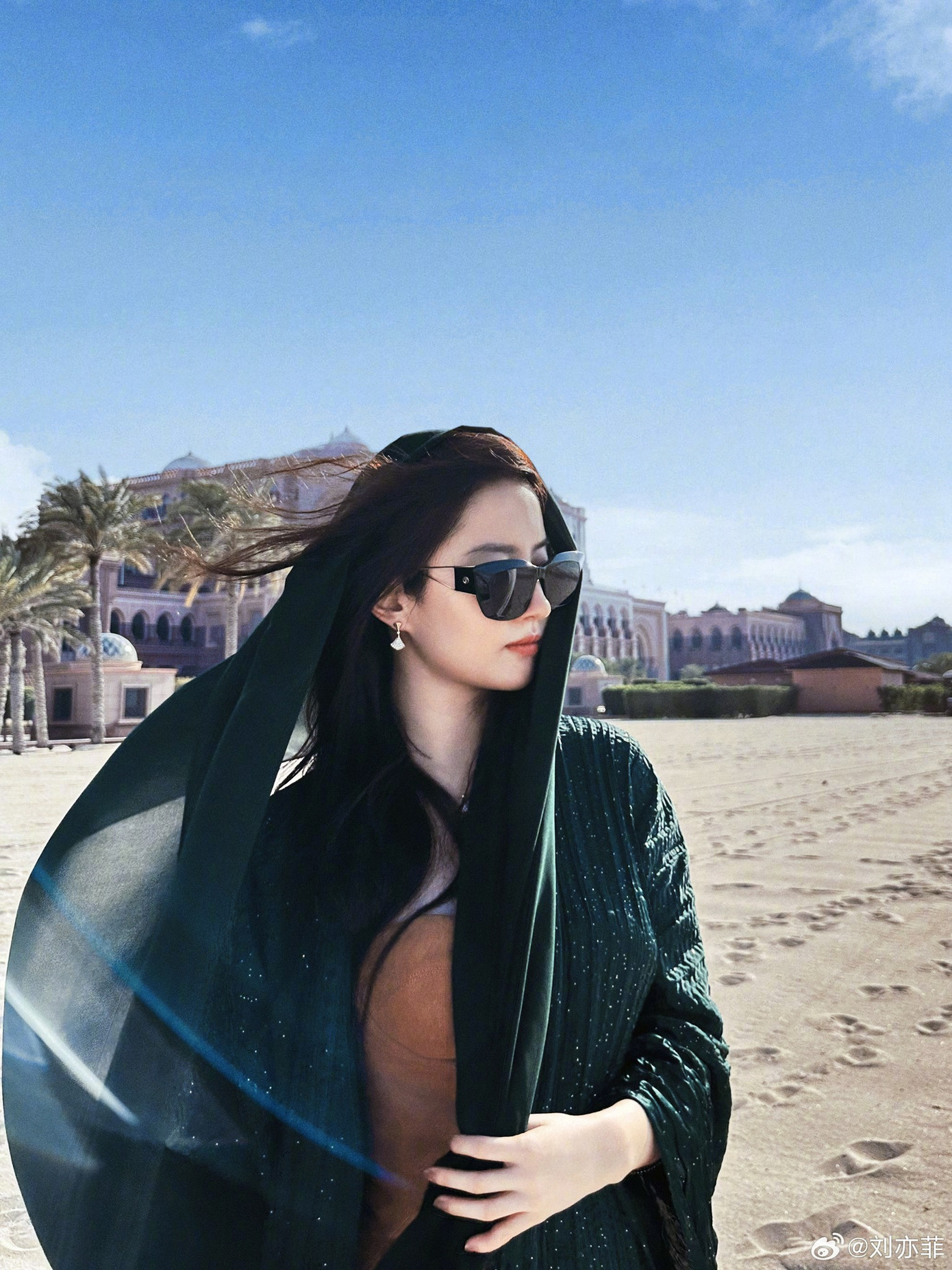 Trang web chính thức của Daily Commercials đăng tải bài báo đưa tin Lưu Diệc Phi đã trở thành người phát ngôn trải nghiệm của Abu Dhabi và mô tả cô là "Viên ngọc đa diện người Mỹ gốc Hoa".