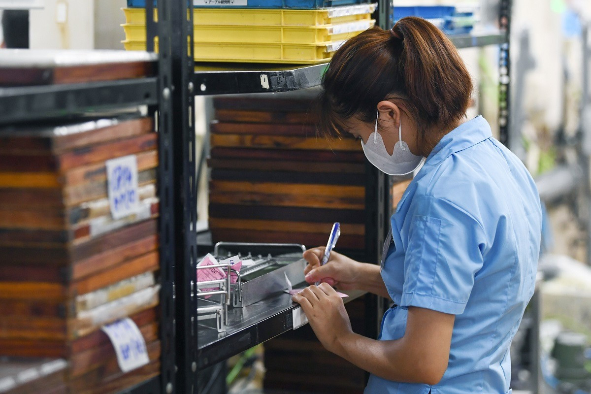 Theo Bộ Tài chính, mức xử phạt hành chính với sai phạm của kiểm toán độc lập còn thấp, chưa đủ tính răn đe. Ảnh: Hoàng Hà.