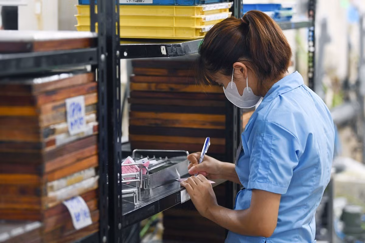 Theo Bộ Tài chính, mức xử phạt hành chính với sai phạm của kiểm toán độc lập còn thấp, chưa đủ tính răn đe. Ảnh: Hoàng Hà.