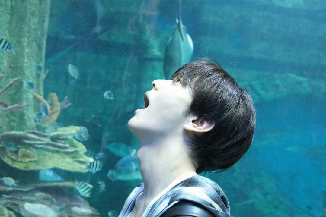 Một người hâm mộ bắt gặp và xin chữ ký của Soobin và Beomgyu ở Phú Quốc chia sẻ trên Twitter rằng gia đình thấy cả hai tại thủy cung ngày 9/2 và khen ngoại hình hai nam thần tượng cao ráo, đẹp trai hơn trên màn ảnh.