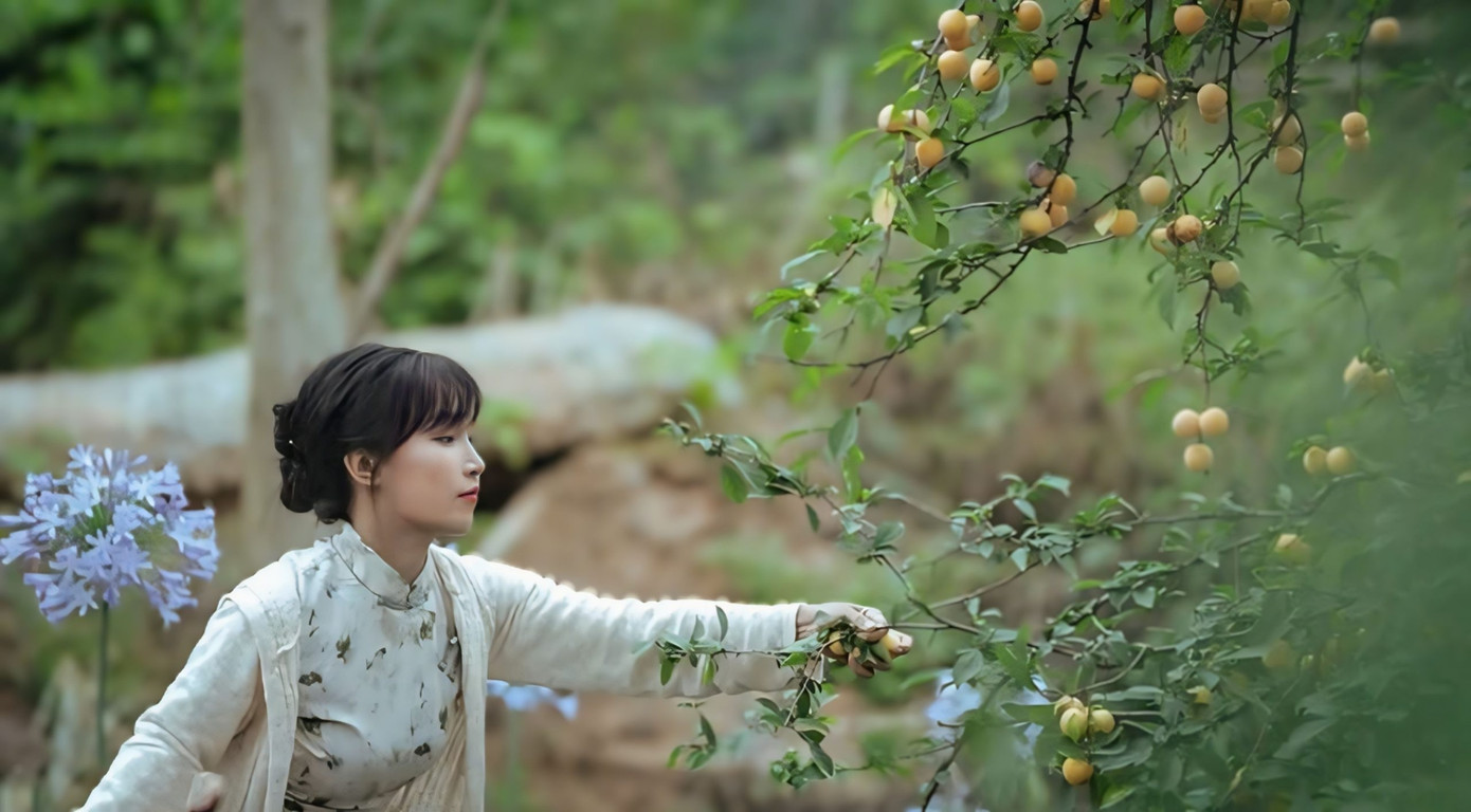 Video của Lý Tử Thất miêu tả đầy chất thơ về cuộc sống nông thôn.