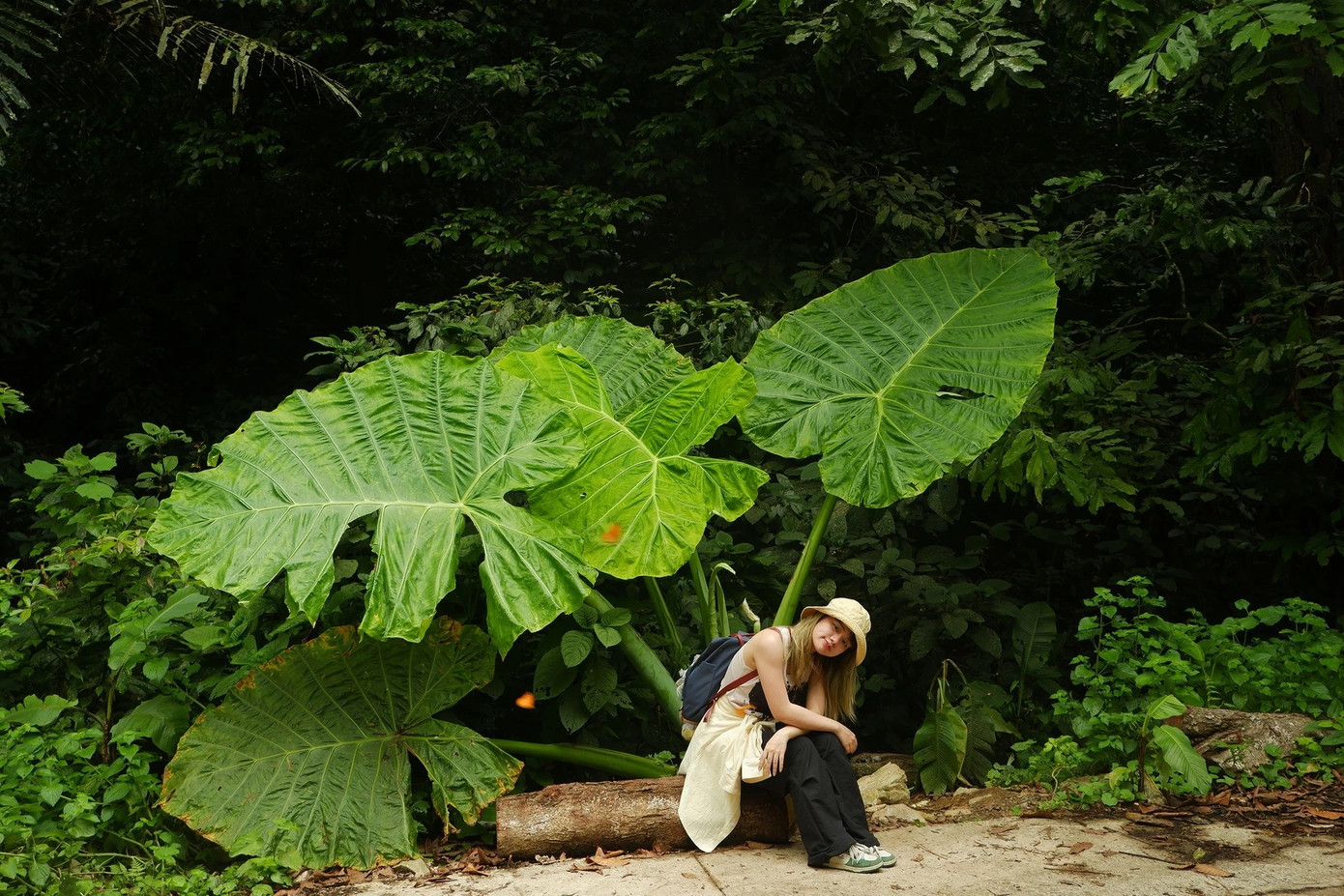 Đứng dưới tán cây, Ngọc nói cảm thấy như hóa thành nhân vật tí hon Arrietty trong phim Ghibli, &quot;bé nhỏ giữa thiên nhiên kỳ vĩ&quot;. Ảnh: Hồng Ngọc.